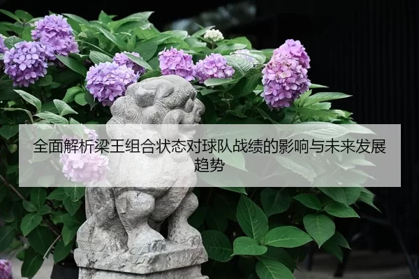 全面解析梁王组合状态对球队战绩的影响与未来发展趋势